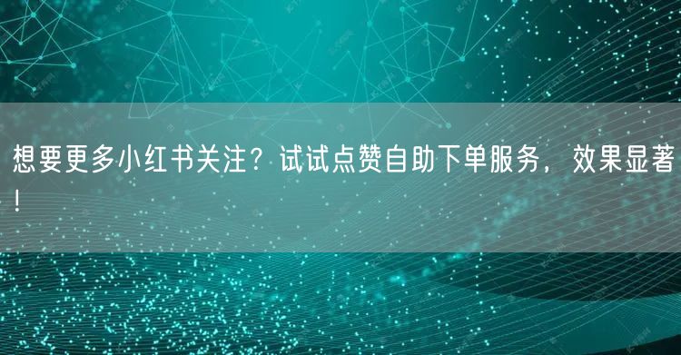 想要更多小红书关注?试试点赞自助下单服务,效果显著!