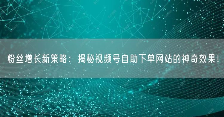 粉丝增长新策略:揭秘视频号自助下单网站的神奇效果!