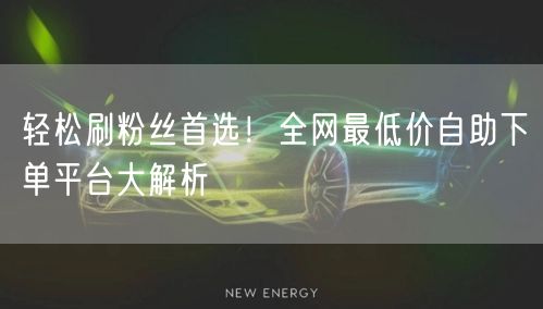 轻松刷粉丝首选!全网最低价自助下单平台大解析