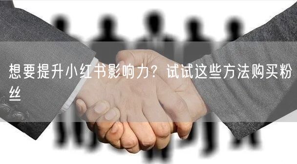 想要提升小红书影响力?试试这些方法购买粉丝