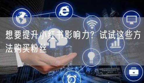 想要提升小红书影响力?试试这些方法购买粉丝
