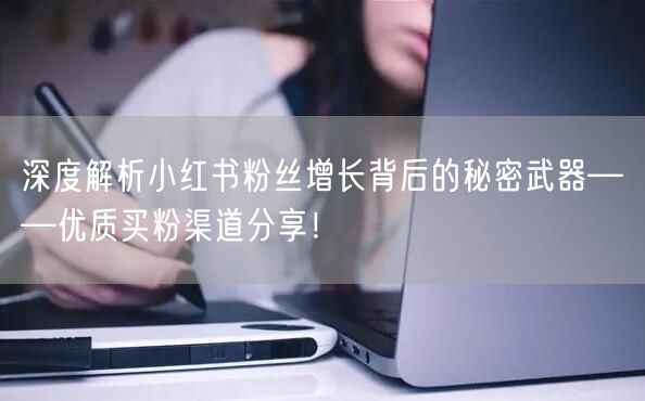 深度解析小红书粉丝增长背后的秘密武器——优质买粉渠道分享!