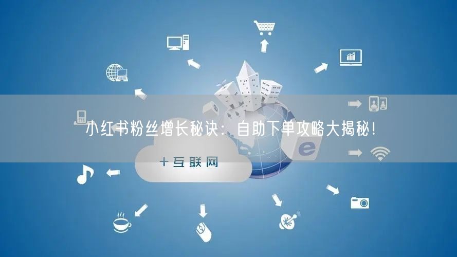 小红书粉丝增长秘诀:自助下单攻略大揭秘!