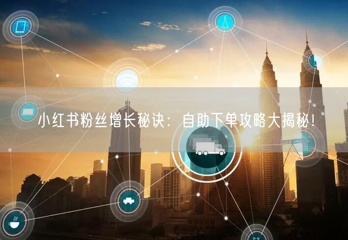 小红书粉丝增长秘诀:自助下单攻略大揭秘!