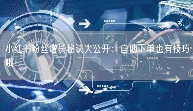 小红书粉丝增长秘诀大公开:自助下单也有技巧哦!