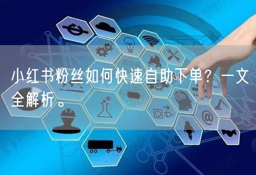 小红书粉丝如何快速自助下单?一文全解析。