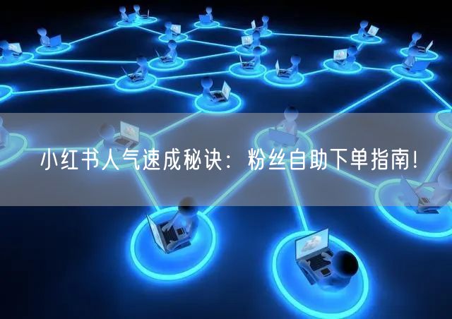 小红书人气速成秘诀:粉丝自助下单指南!