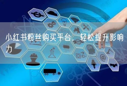 小红书粉丝购买平台,轻松提升影响力