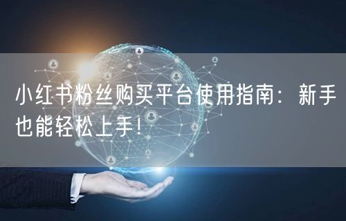 小红书粉丝购买平台使用指南:新手也能轻松上手!
