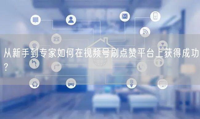 从新手到专家如何在视频号刷点赞平台上获得成功？